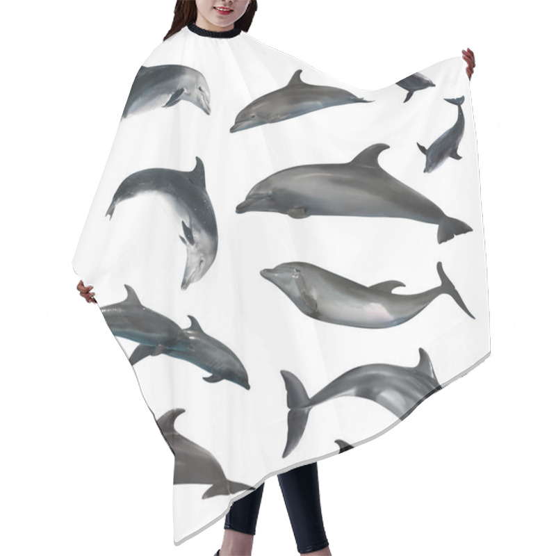 Personality  Beautiful Grey Bottlenose Dolphins On White Background, Collage Hair Cutting Cape