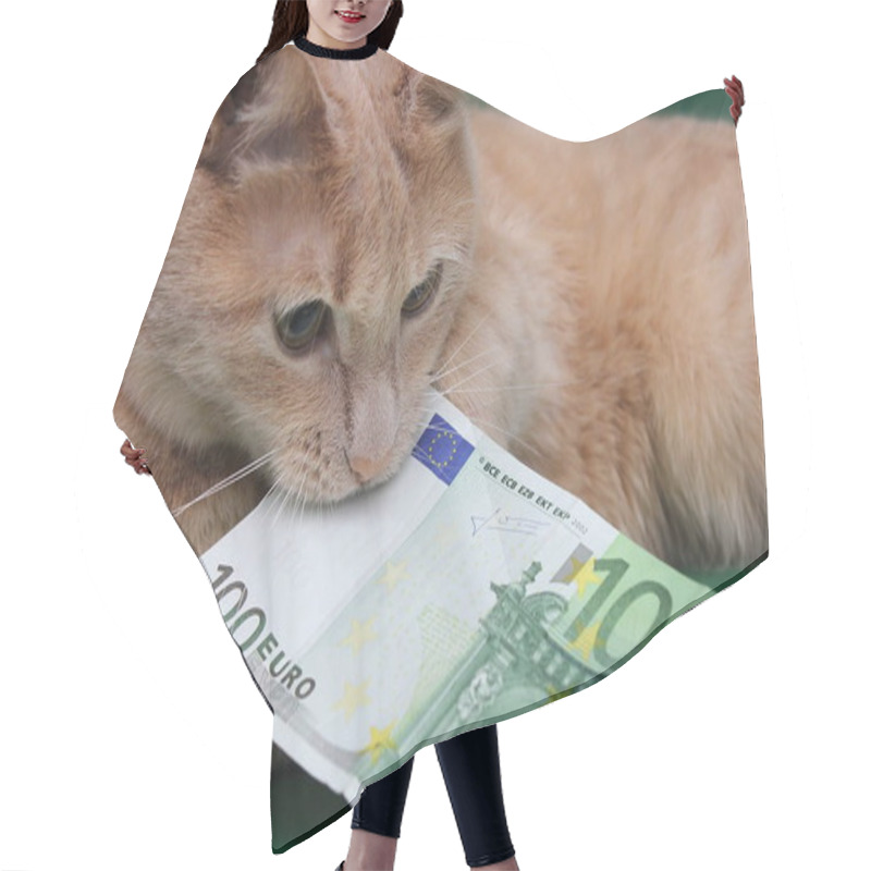 Personality  A Red Cat Holds A 100 Euro Bill In Its Teeth. The Concept Of Financial Crisis And Instability. Hair Cutting Cape