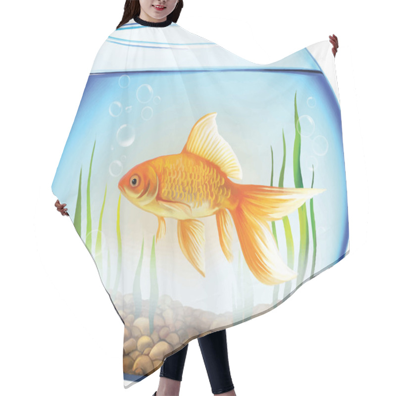 Personality  Gold Fish In A Round Aquarium With Stones And Plants. Hair Cutting Cape