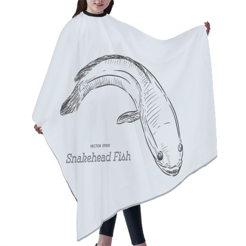 Personality  Snakehead Fish, Hand Draw Sketch Vector. Hair Cutting Cape