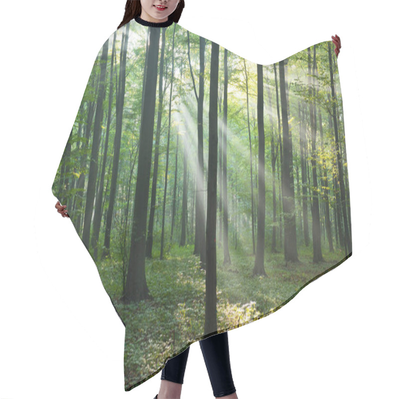 Personality  Beautiful Morning With Sunbeams In The Forest Hair Cutting Cape