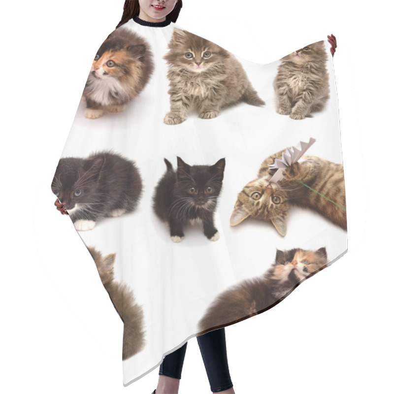 Personality  Collection Of Playful Kittens  Hair Cutting Cape