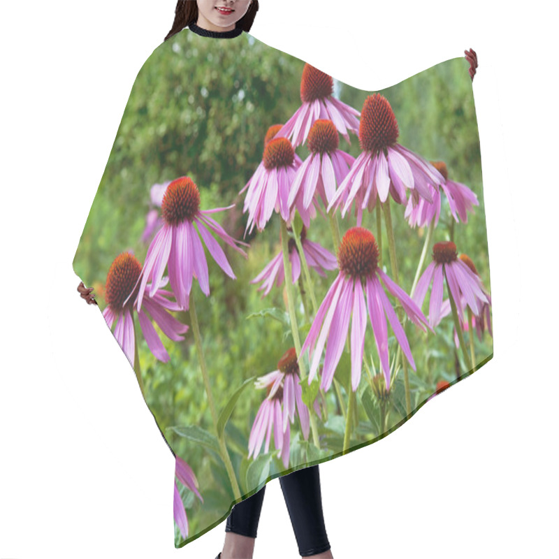 Personality  Echinacea Flowers Hair Cutting Cape