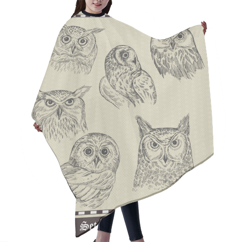 Personality  Set Of Birds.Owls. Vector Illustration Hair Cutting Cape