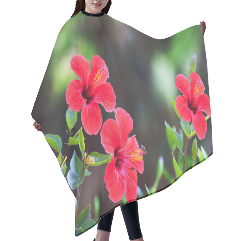 Personality  Red Hibiscus Flower Over Natural Green Bokeh Background Hair Cutting Cape