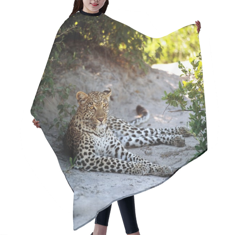 Personality  Wild Leopard Among Plants Hair Cutting Cape