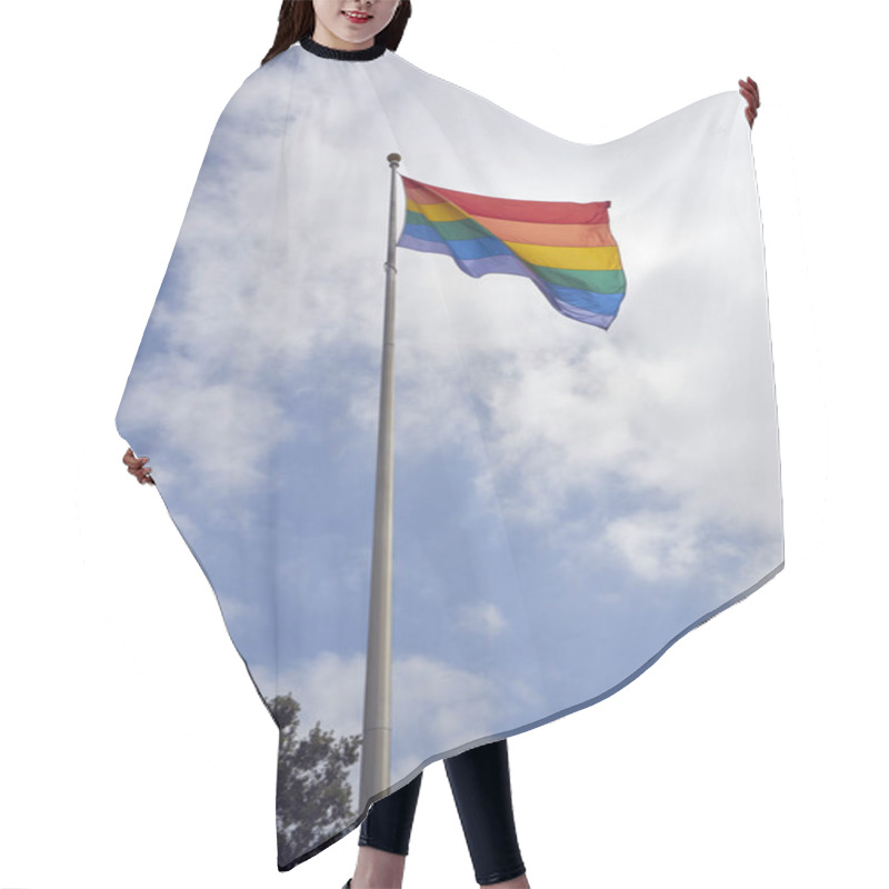 Personality  THE Hillcrest Pride Flag - Symbol Of Love And Unity   Hair Cutting Cape