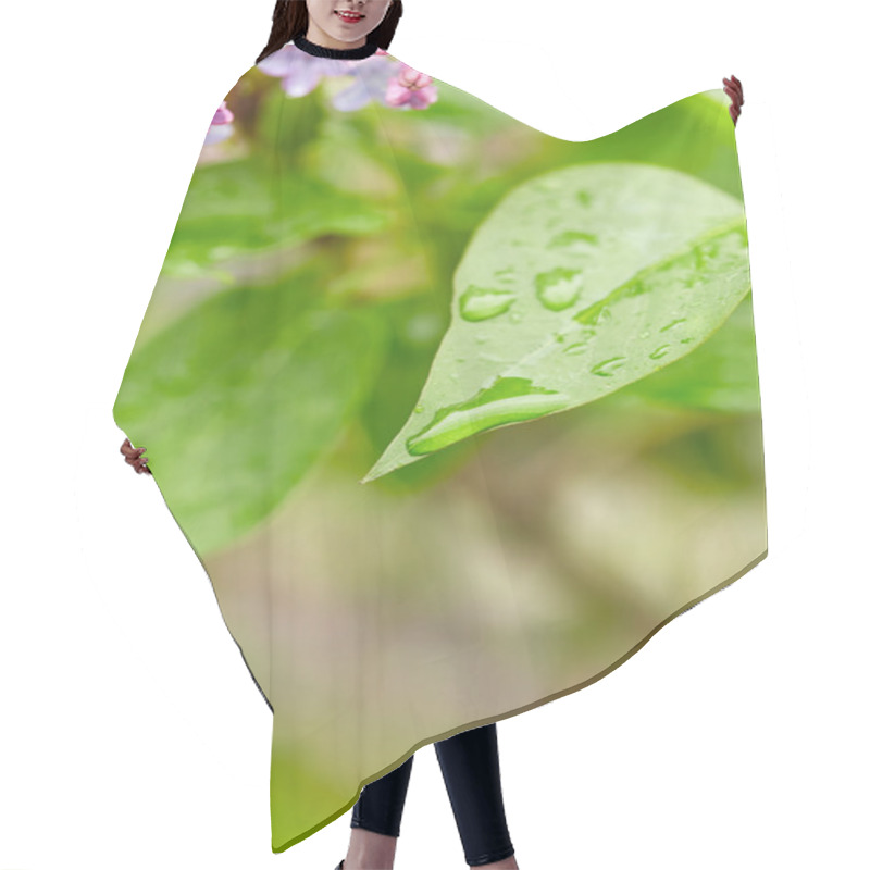 Personality  Green Leaf With Drops Of Water Hair Cutting Cape