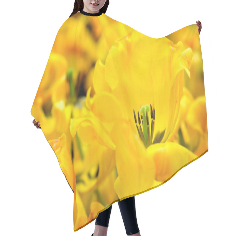 Personality  Blossoming Tulips Close Up Background Hair Cutting Cape