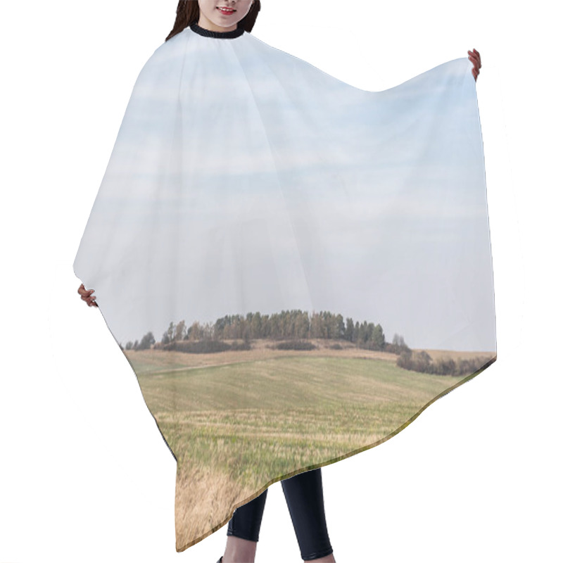 Personality  Golden Field Green And Grassy Lawn Against Blue Sky  Hair Cutting Cape