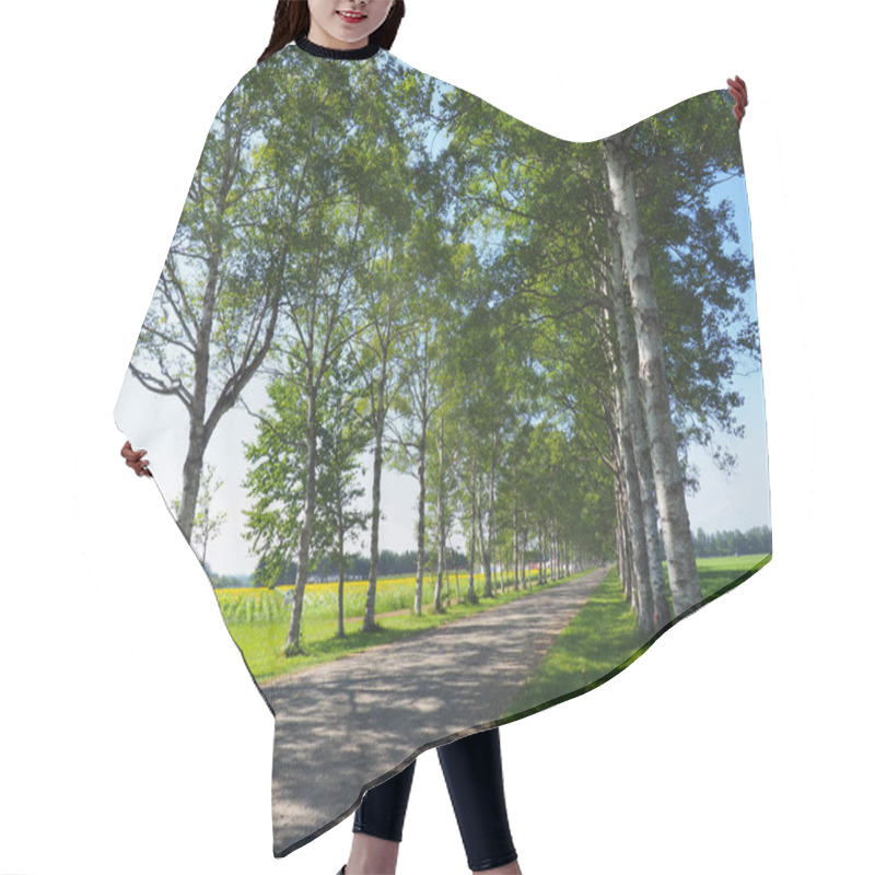 Personality  Tree Lined Street In Hokkaido Hair Cutting Cape