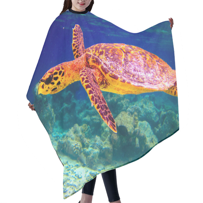 Personality  Hawksbill Turtle Swiming Like Flying Hair Cutting Cape