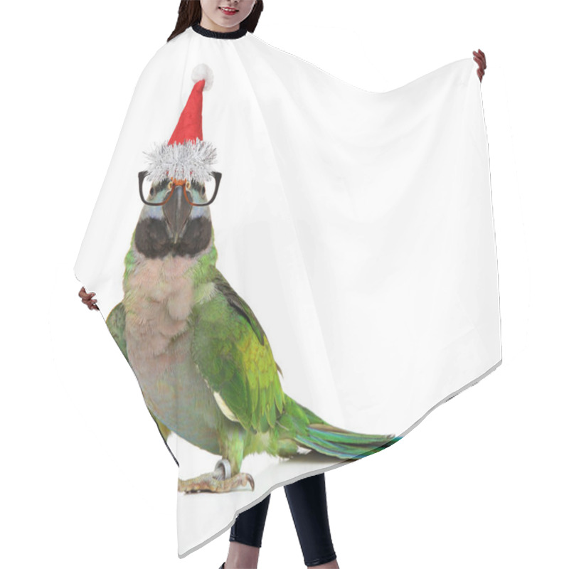 Personality  Parakeet In Glasses And Santa Red Cap On White Background. Christmas Animals Theme Hair Cutting Cape