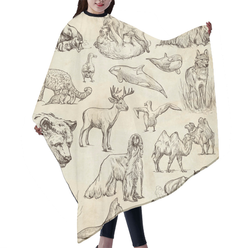 Personality  Animals Around The World (set No.10) - Hand Drawn Illustrations Hair Cutting Cape