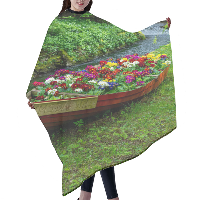 Personality  Vibrant Floral Display In An Old Rowboat Named HMS Darwin By A Serene Stream In A Lush Garden Setting Hair Cutting Cape