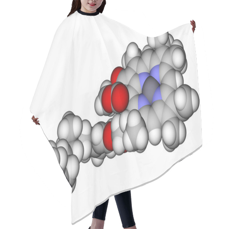 Personality  Chlorophyll A Space Filling Molecular Model Hair Cutting Cape