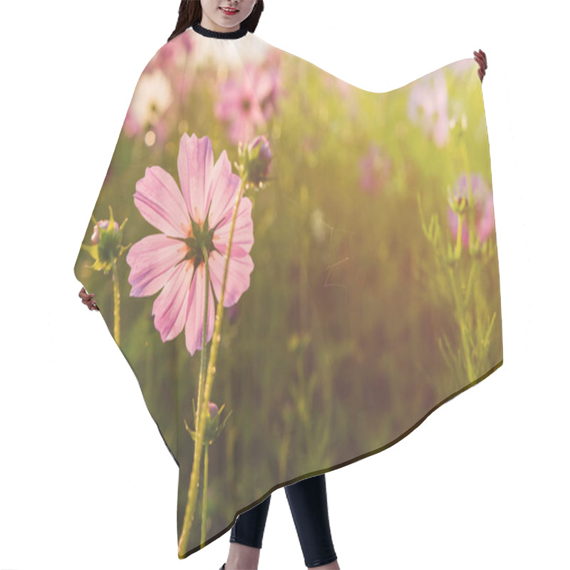 Personality  Close-up Of Pink Cosmos Flower Hair Cutting Cape