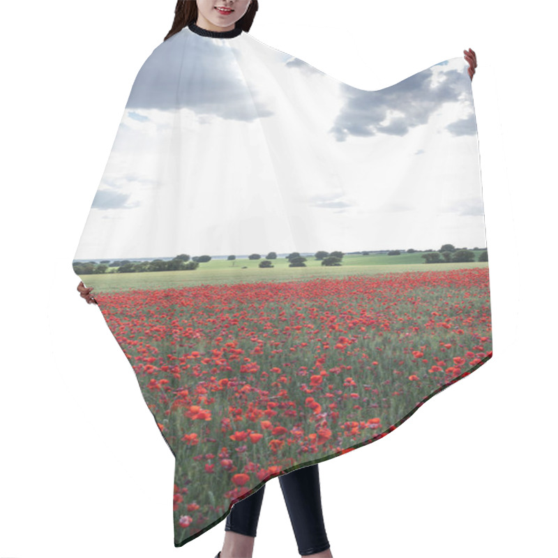 Personality  Scenic View Of Blossoming Poppy Flowers With Pleasant Aroma Growing On Farmland Under Cloudy Sky In Daytime Hair Cutting Cape