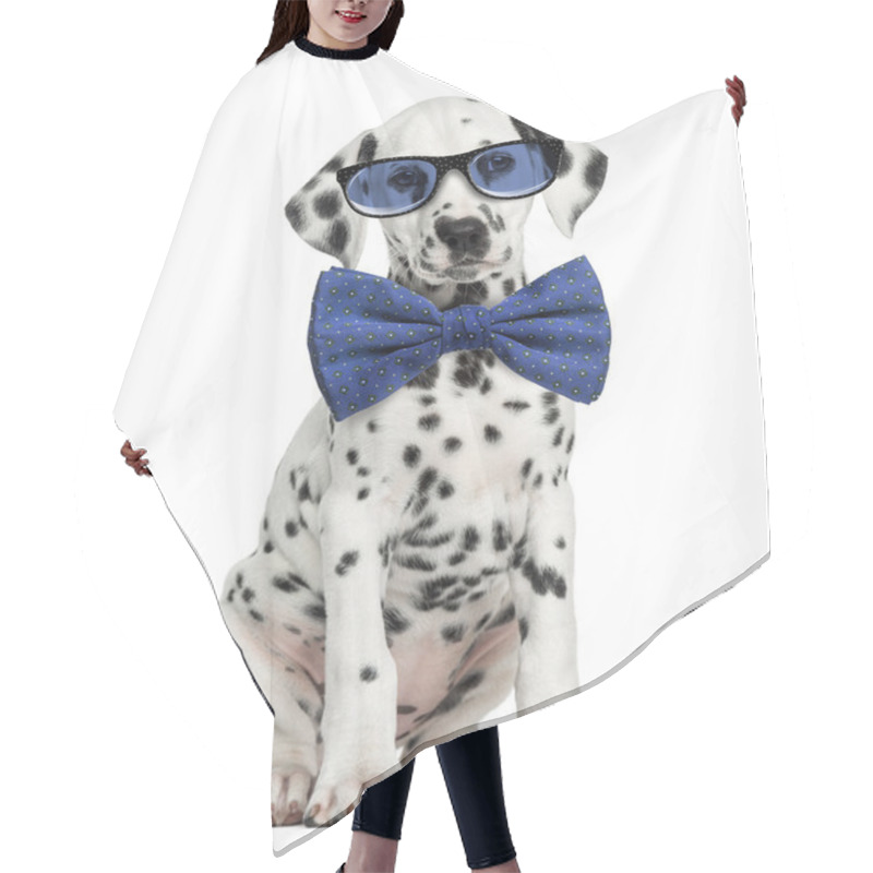 Personality  Front View Of A Dalmatian Puppy  Wearing Glasses And Sitting, Fa Hair Cutting Cape