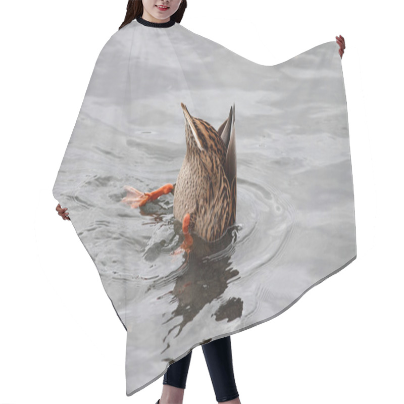 Personality  Upside Down Duck Hair Cutting Cape