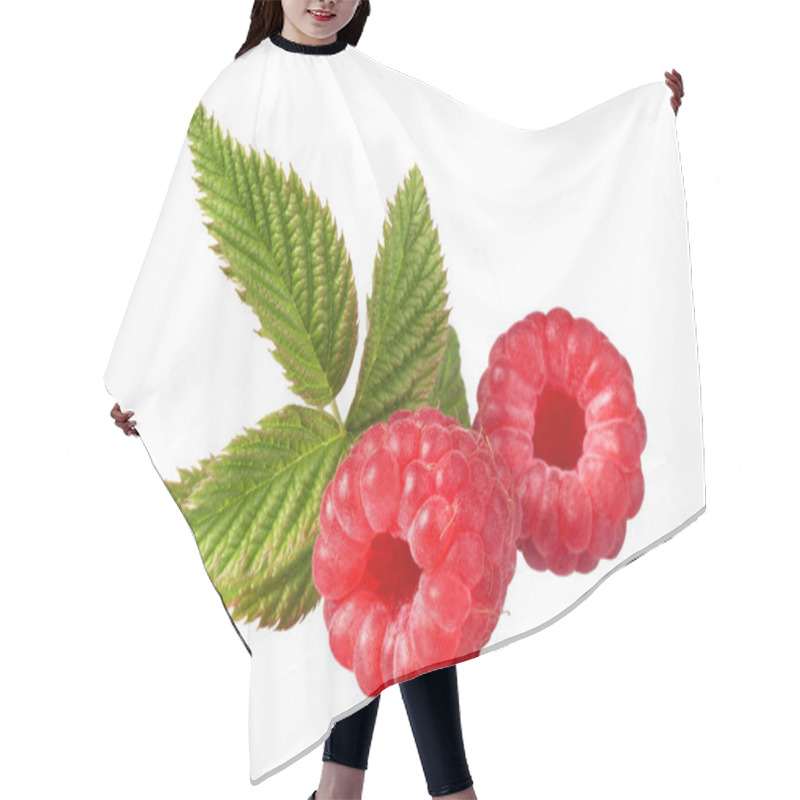 Personality  Raspberries Hair Cutting Cape