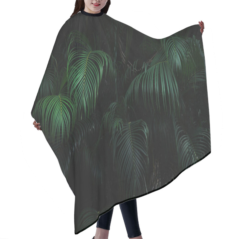 Personality  Dark Green Palm Forest Background Hair Cutting Cape