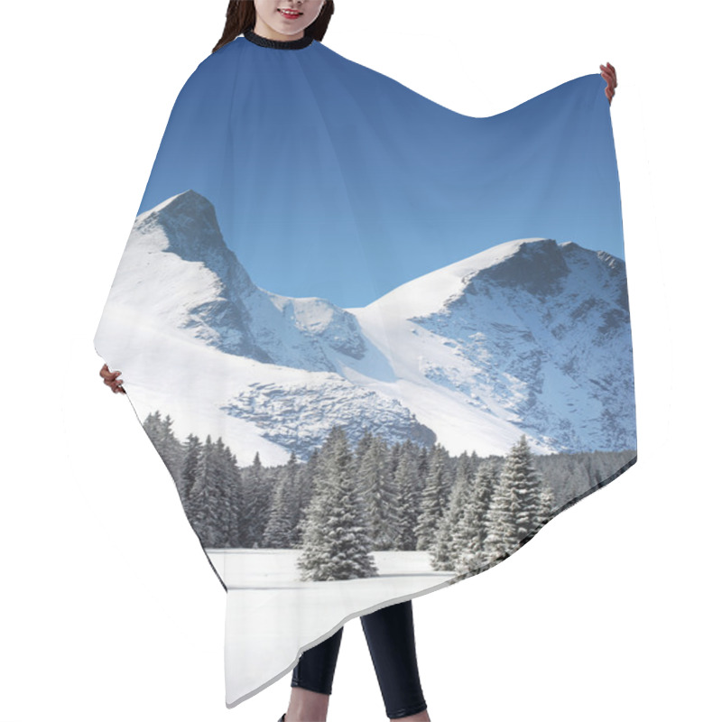 Personality  Trees Coated With Snow And High Snowy Mountains Hair Cutting Cape