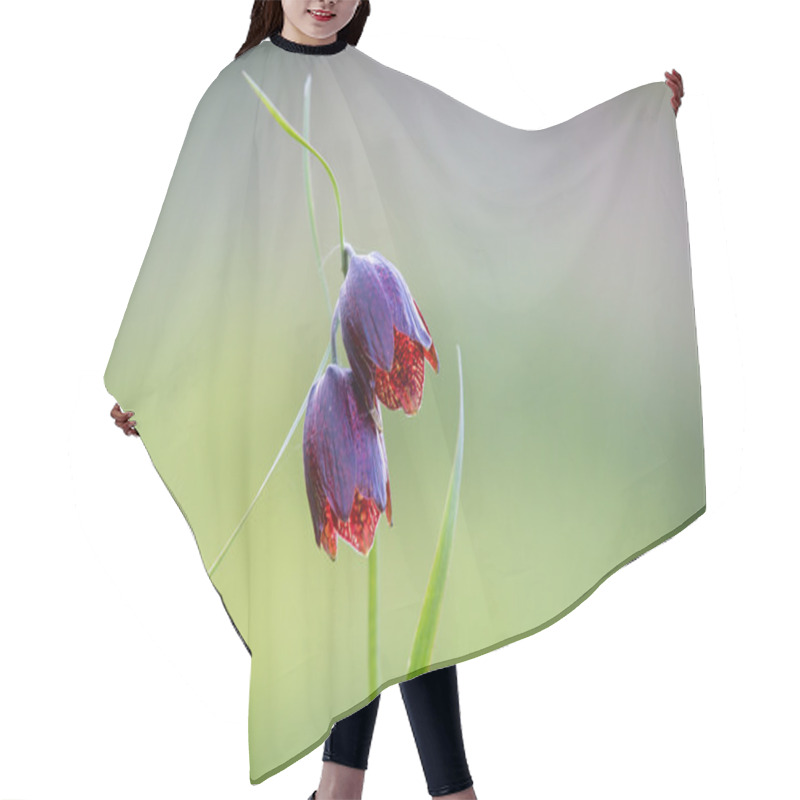 Personality  Nice Wild Tulip Flowers Hair Cutting Cape