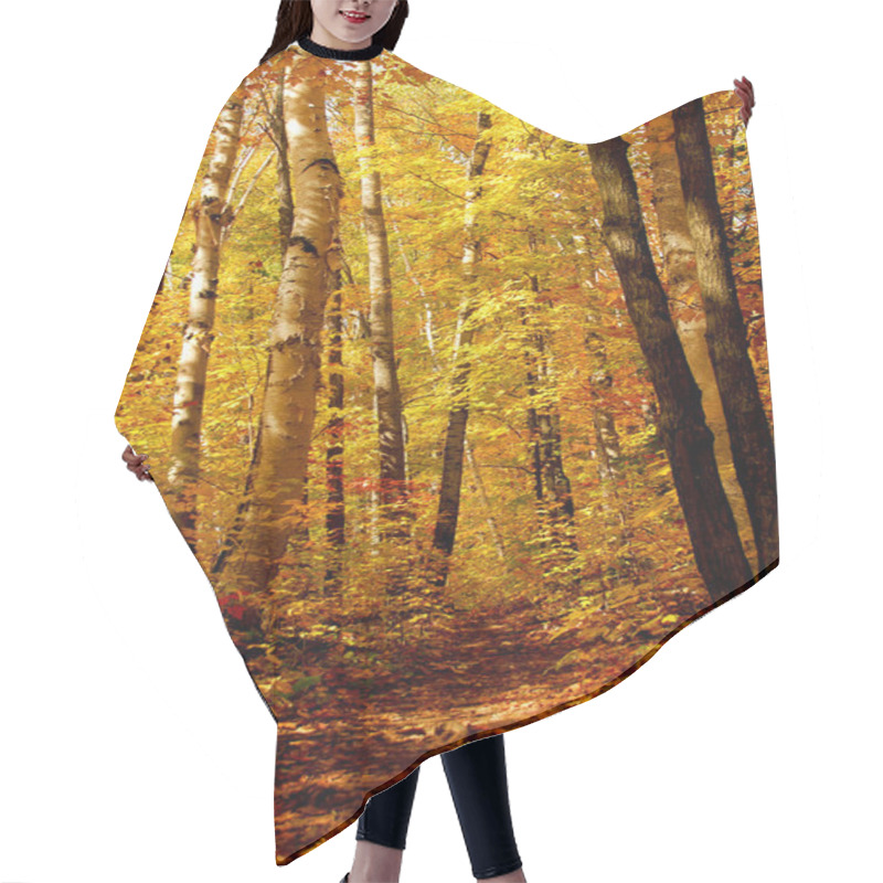 Personality  Fall Forest Background With Hiking Trail Hair Cutting Cape