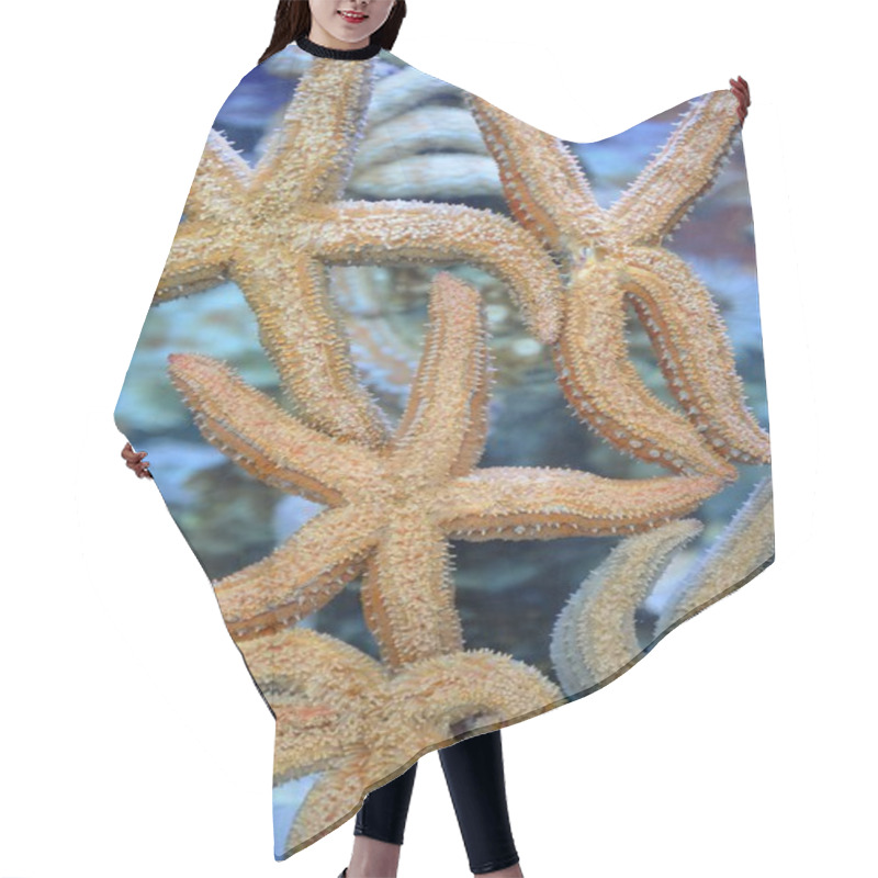 Personality  Underwater Aquaium Hair Cutting Cape