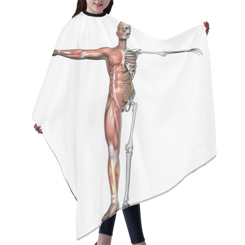 Personality  Anatomy, Muscles And Skeleton Hair Cutting Cape