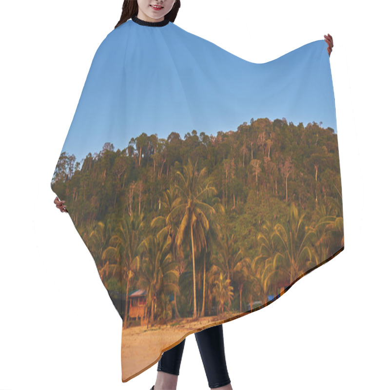 Personality  Summer Nature Background. Beautiful Exotic Beach Of Golden Sand Full Of Palm Trees In A Jungle. Summer Nature Scene During Sunrise. Early Morning Sun Floods The Sand Beach. Vacantion Concept. Hair Cutting Cape