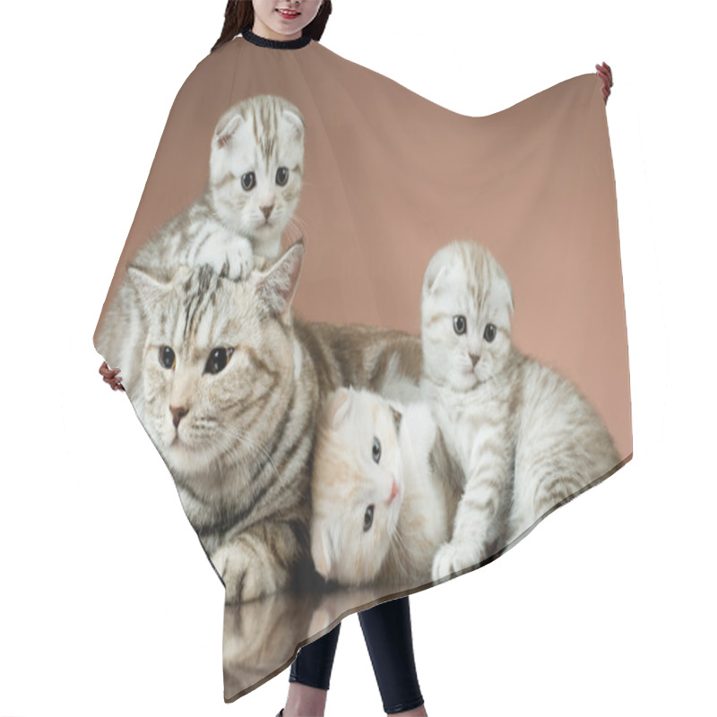 Personality  Kittens Hair Cutting Cape