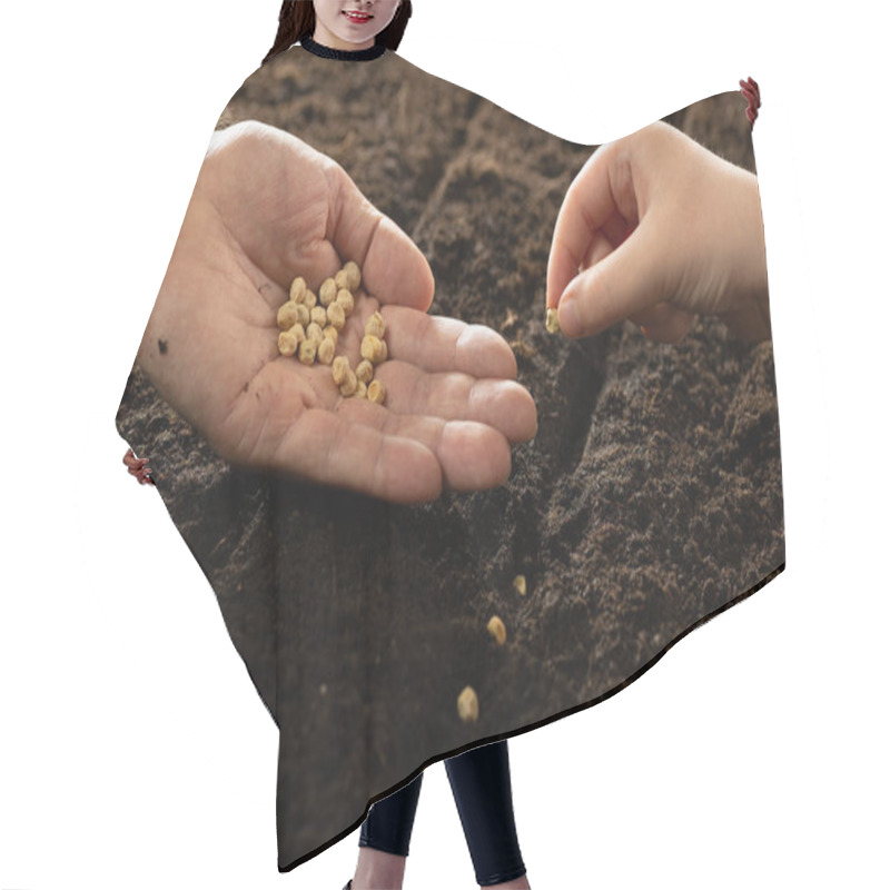 Personality  A Child's Hand And An Adult's Hand Plant Seeds. Growing Vegetable Seeds On Seed Soil In Gardening Metaphor, Agriculture Concept. Sowing Seeds In Open Ground. Hair Cutting Cape