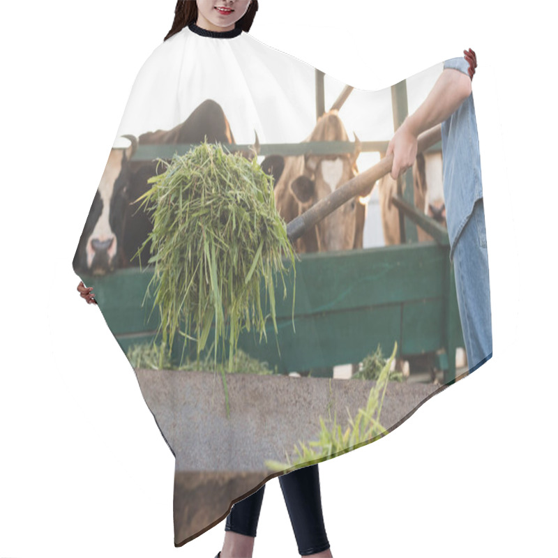 Personality  Cropped View Of Farmer Holding Hay Near Blurred Cows In Stall Hair Cutting Cape