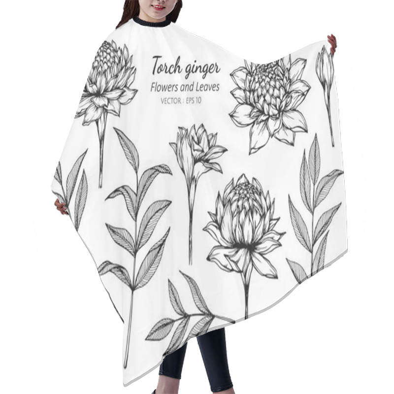 Personality  Collection Set Of Torch Ginger Flower And Leaves Drawing Illustr Hair Cutting Cape