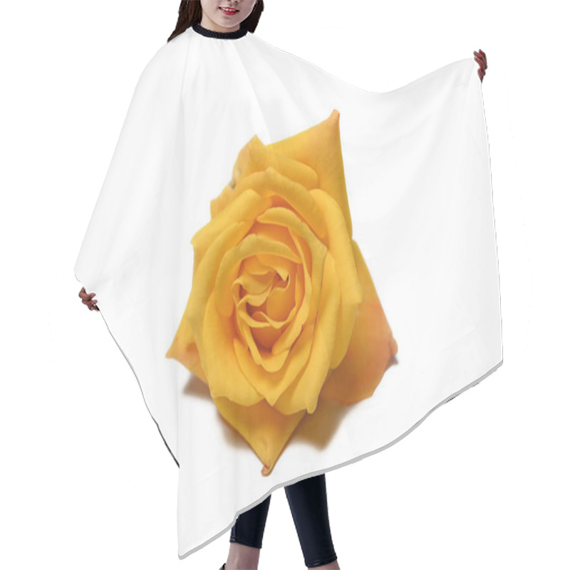 Personality  Yellow Rose Isolated On White Background  Hair Cutting Cape