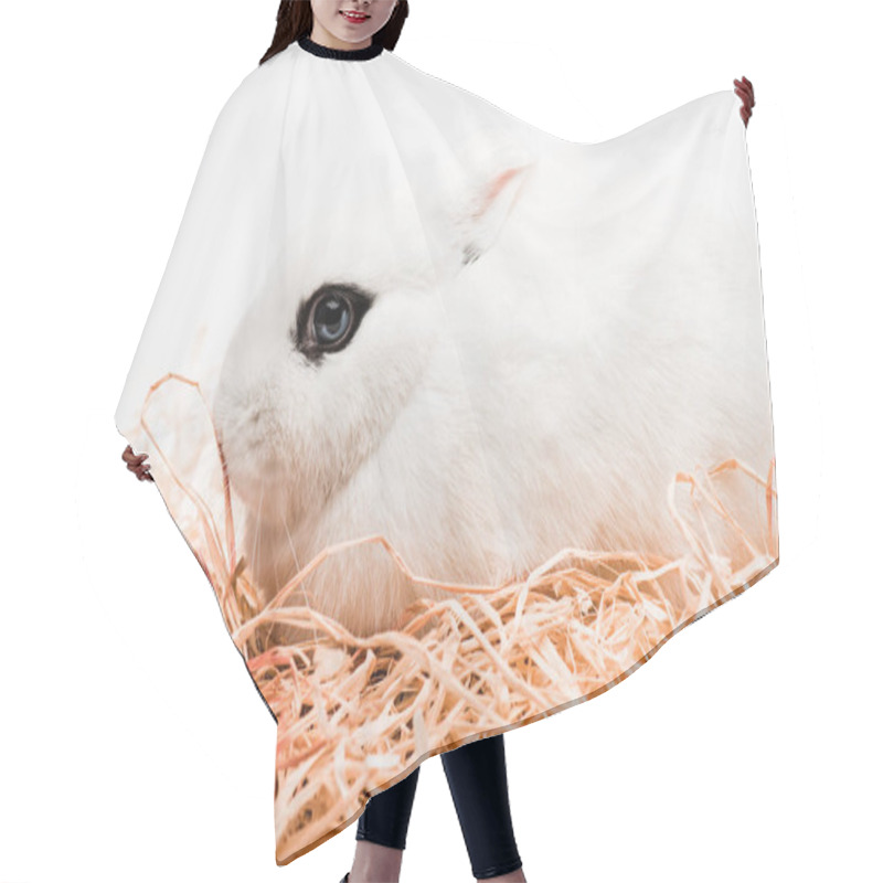 Personality  Cute Rabbit With Black Eye In Nest On White Background Hair Cutting Cape