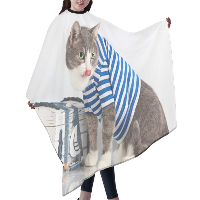 Personality  Grey Cat In Seaman Suit On Background With Chest Hair Cutting Cape