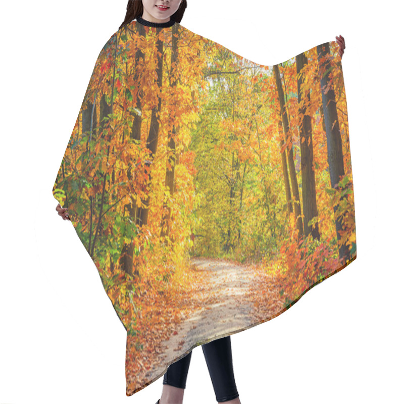 Personality  Autumn Forest Hair Cutting Cape