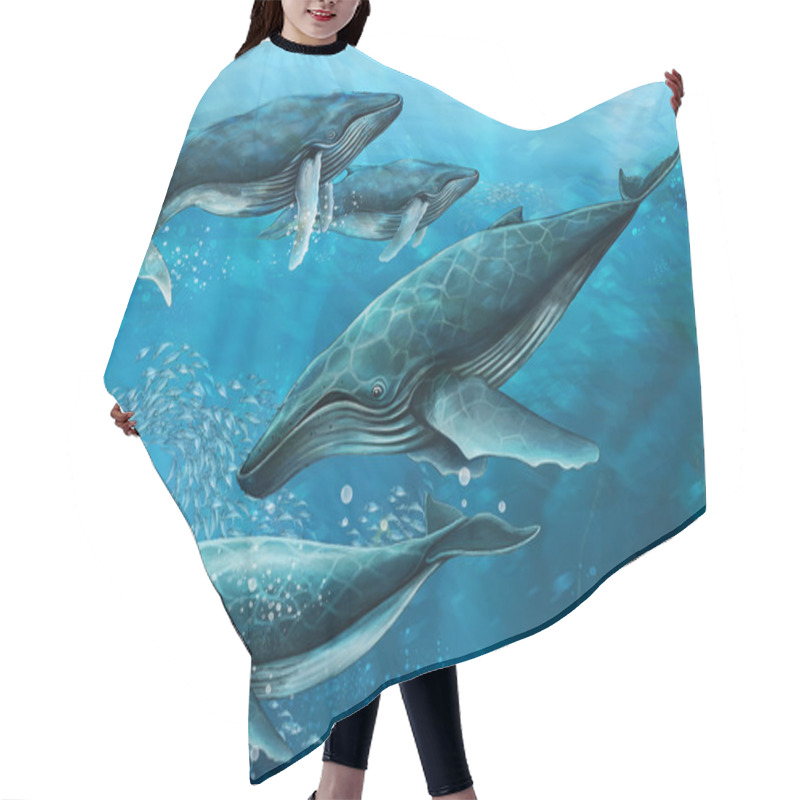 Personality  The Whales Hair Cutting Cape