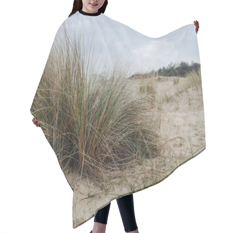 Personality  Close-up Shot Of Green Grass In Desert At Bray Dunes, France Hair Cutting Cape