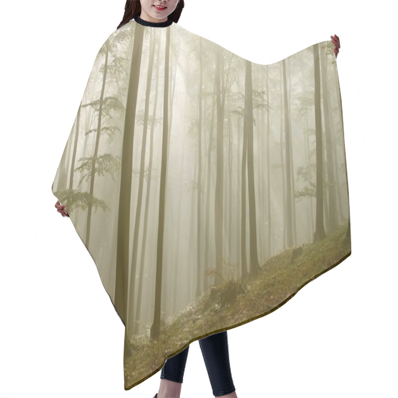 Personality  Sunbeams In The Misty Woods Hair Cutting Cape