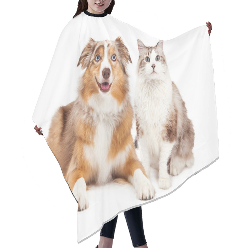 Personality  Cat And Happy Dog Hair Cutting Cape