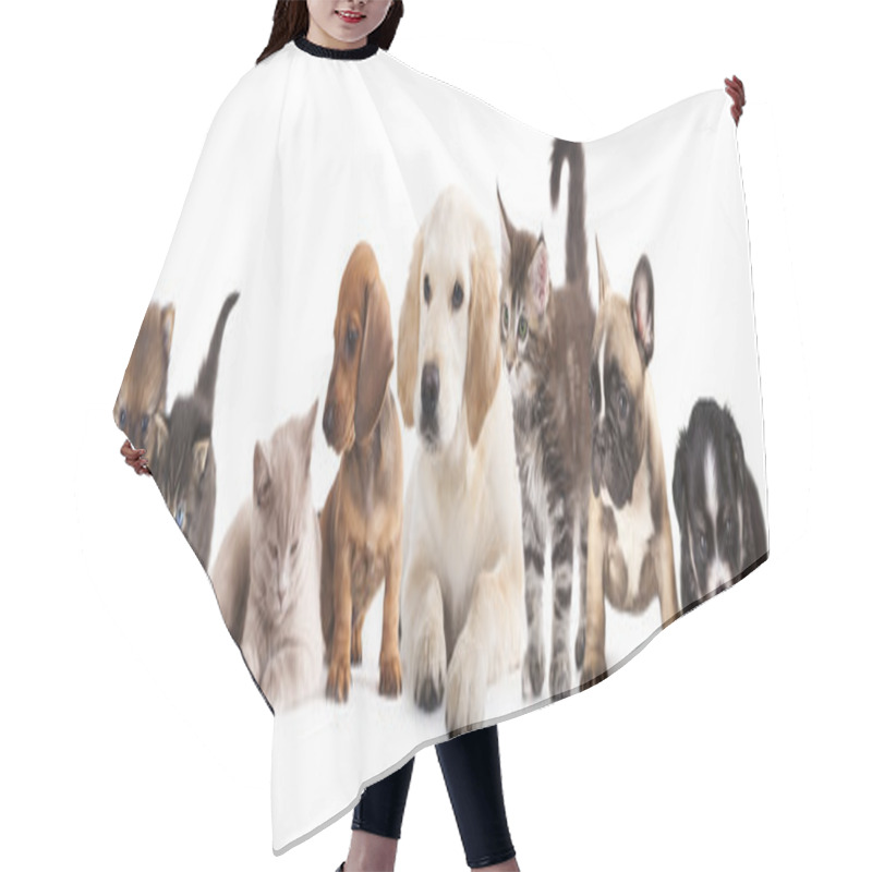 Personality  Cat And Dog Hair Cutting Cape