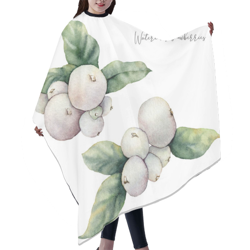 Personality  Watercolor Snowberry Set. Hand Painted Winter Plants With Leaves And Berries Isolated On White Background. Floral Illustration For Design, Print, Fabric Or Background. Botanical Set. Hair Cutting Cape