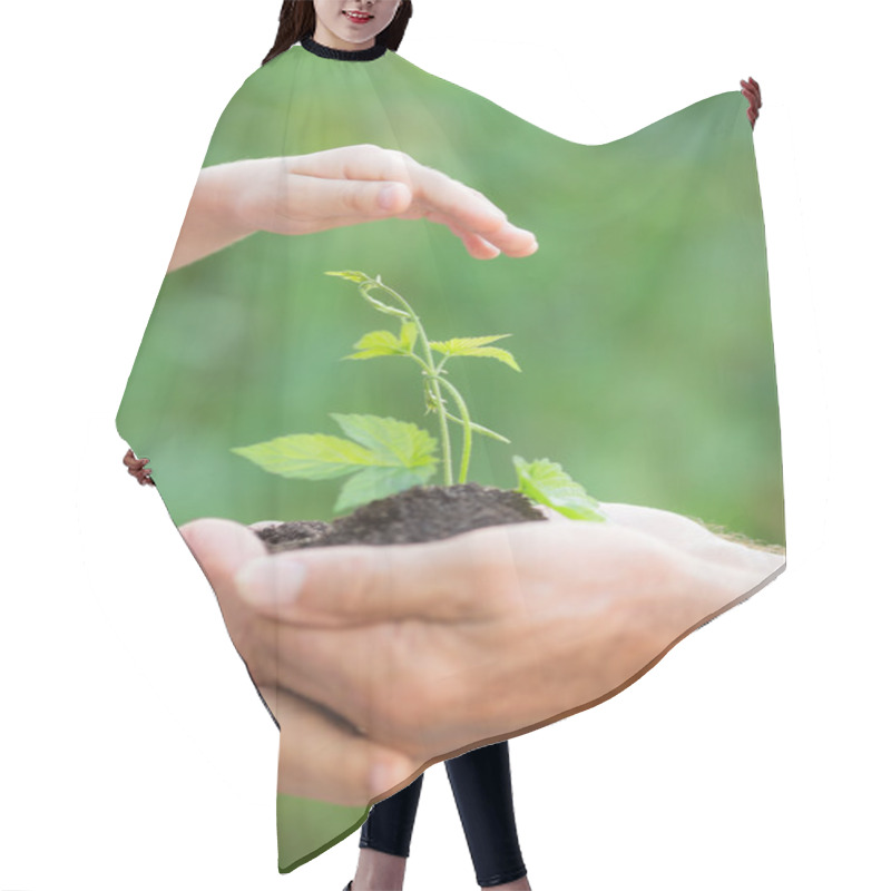 Personality  Young Plant In Hands Against Green Background Hair Cutting Cape