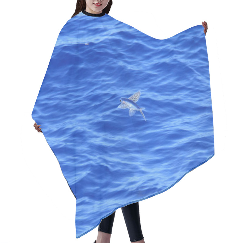 Personality  Flying Fish Flying On Sea Hair Cutting Cape