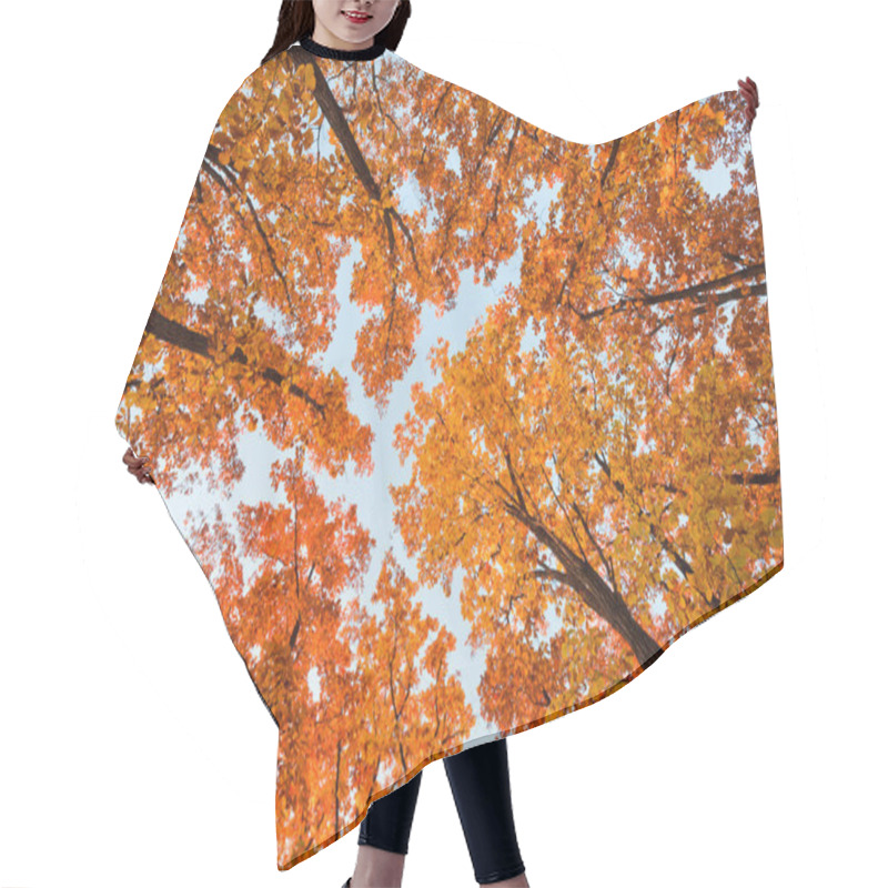 Personality  Bright Oak Hair Cutting Cape