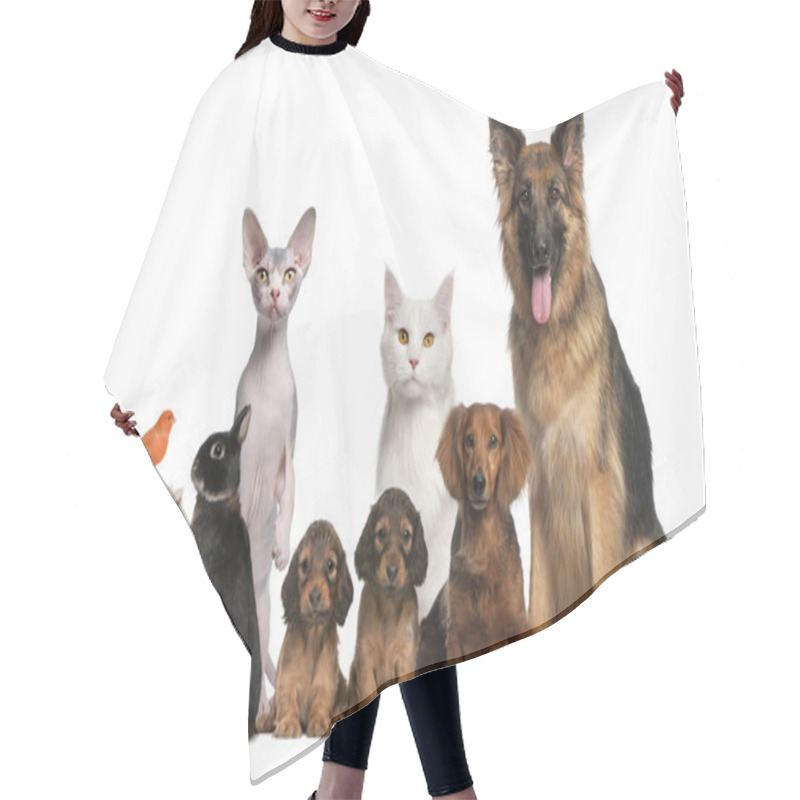 Personality  Group Of Pets: Dog, Cat, Bird, Rabbit Hair Cutting Cape